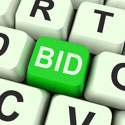 Aggressive PPC Bidding Strategy 