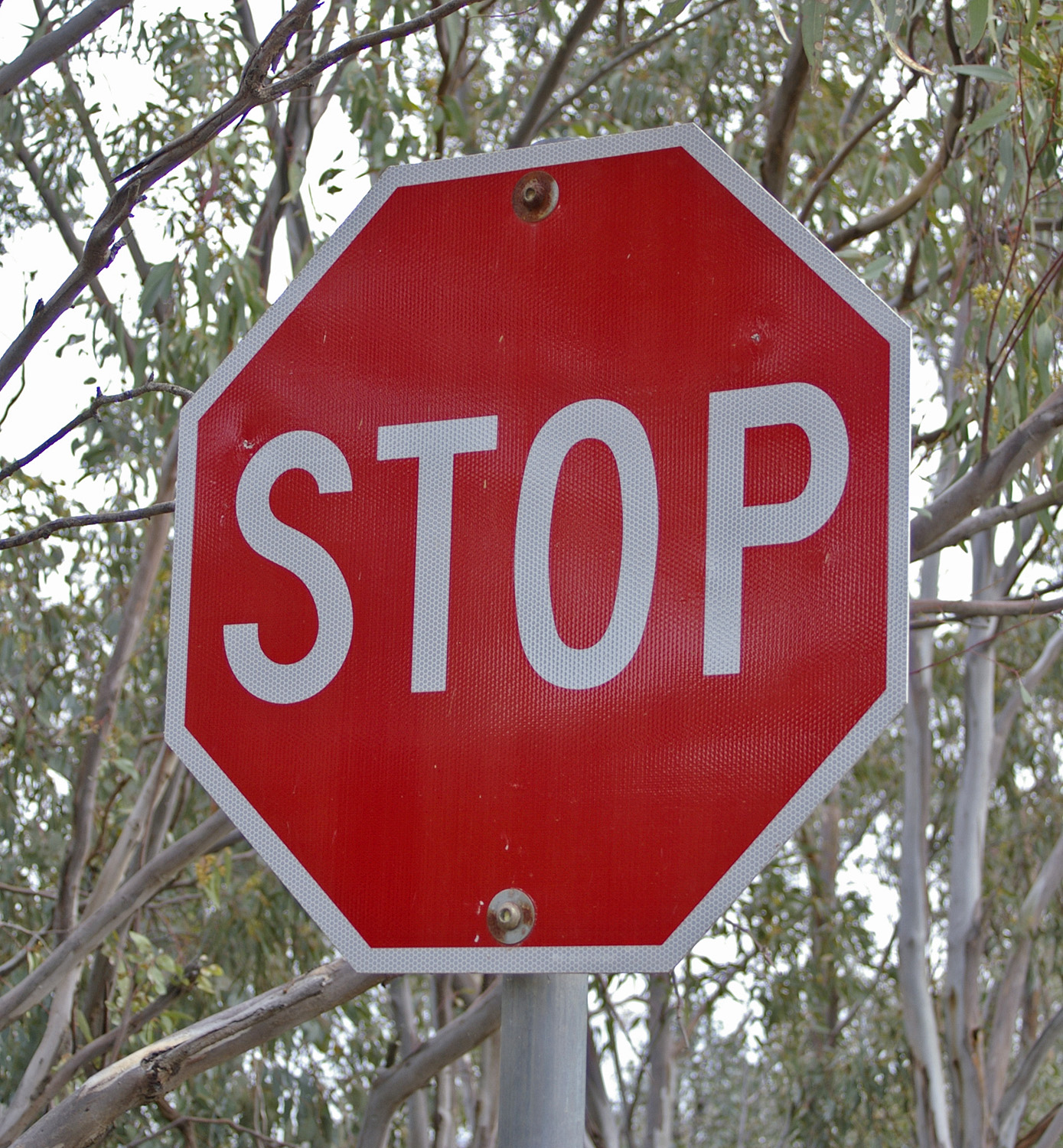 Stop! Don't Make These Mistakes That Bleed PPC Campaigns of Money